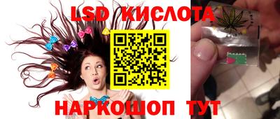 прущие крисы Партизанск